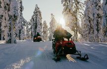 2 Hours Snowmobile Safari to the Levi Nature