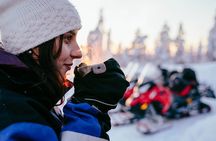 2 Hours Snowmobile Safari to the Levi Nature