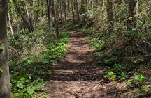 Guided Shioya Maruyama Hike with Scenic Views and Snacks
