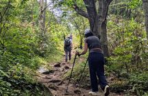 Guided Shioya Maruyama Hike with Scenic Views and Snacks