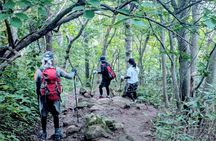 Guided Shioya Maruyama Hike with Scenic Views and Snacks