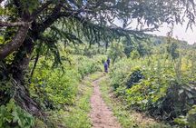 Guided Shioya Maruyama Hike with Scenic Views and Snacks