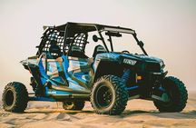 Doha ATV Quad Bike Buggy Dune Bashing And Camel Ride