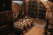 Organic Winery Tour and Tasting in Tuscany