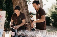 Organic Winery Tour and Tasting in Tuscany