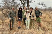 Half-Day Walking Safari in Greater Kruger National Park