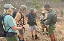 Half-Day Walking Safari in Greater Kruger National Park