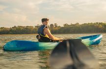 Sunset Guided Kayak Tour 90 Minutes