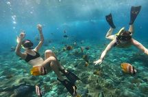 Nusa Penida Special Trip Snorkeling with Manta Rays and Land Tour