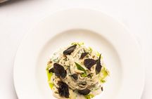 Truffle Picking Experience with 3 Course Meal in Chianti hills