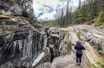 Columbia Icefield Adventure, Mistaya Canyon & Peyto Lake Day Tour