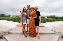 Private Tour + Uco Valley Vinicolas