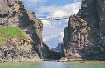 The Giant’s Causeway and Bushmills Tour