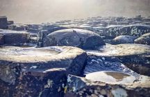 The Giant’s Causeway and Bushmills Tour
