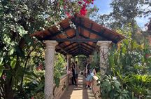 Private Tour: Botanical Garden, Petroglyphs & Mexican Food