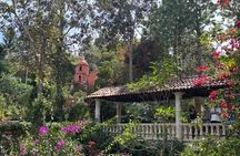 Private Tour: Botanical Garden, Petroglyphs & Mexican Food