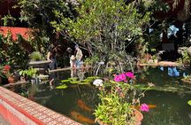 Private Tour: Botanical Garden, Petroglyphs & Mexican Food