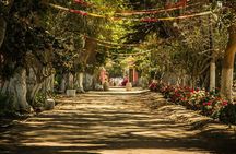 Tacama Winery : Gran Tour Tacama + Bodega Artesanal