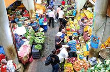 Mauritius North Island Discovery Tour