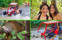 Double Adventure: Monkeys Plus Drive a 4x4 Buggy 