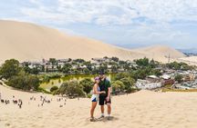 Guided Tour of Paracas Islas Ballestas and Huacachina
