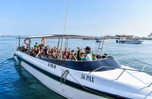 Guided Tour of Paracas Islas Ballestas and Huacachina