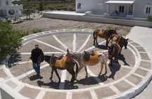 Santorini: Ride a Donkey or a Horse through Volcanic landscapes