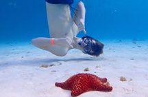 Catamaran Excursion + Open bar + Snorkeling at El Cielo