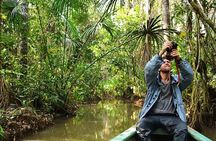 The Best of Tambopata - 2 Day Tour