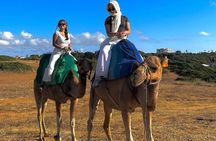 Discover Tangier in a Full Day Tour with Camel ride