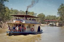 Small-Group Murray River Adventure - Paddle Steamer & Wildlife