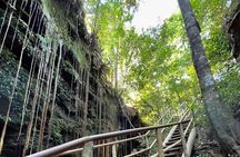 3-Day Tour to the Natural Paradise of Jalapão 