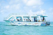 “See the Ocean Without Getting Wet – Glass Bottom Boat Tour