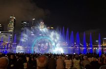 8-hr Combo: Food Tour, 40-Min Cruise & 2 Must-visit Light Shows