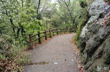 Kobe Nunobiki Falls Morning Guided Hike