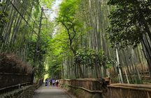Arashiyama Half Day Tour