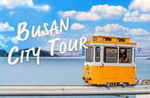 Busan Coastal Charm & Culture: Gamcheon Village & opt Sky Capsule