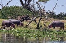 Day trip to Hells Gate and Lake Naivasha From Nairobi