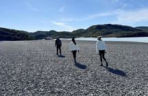 Grey Glacier Boat Tour from Puerto Natales