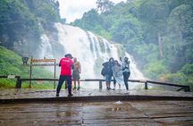 Doi Inthanon Waterfalls Rice Fields Tour from Chiang Mai 