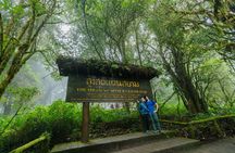 Doi Inthanon Waterfalls Rice Fields Tour from Chiang Mai 