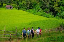 Full Day Doi Inthanon and Pha Dok Siew Trek from Chiang Mai