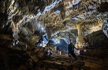 Okohua Glowworm Cave Adventure