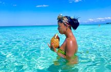 Bay of Eagles VIP : Full Day to Paradise From Santo Domingo