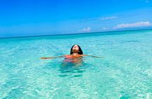 Bay of Eagles VIP : Full Day to Paradise From Santo Domingo