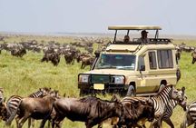 3Days Masai Mara Wildlife Safari on 4WD Jeep