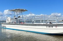 Sunset Dolphin Cruise (options for public of private)