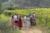 Taste Albania: Wine & Raki Tasting in Berat