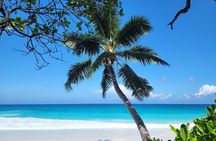 Half Day Fond Ferdinand Nature Reserve and Anse Georgette