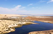 Private Tour To Fayoum Oasis and Wadi Al Rian From Cairo